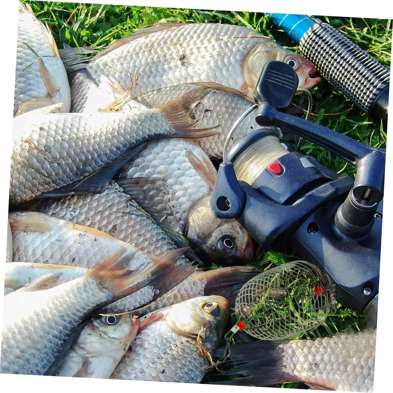BESPORTBLE 10 pcs Practical Lure - Tackle Reservoir Fishing Equipment Compact Metal Cage Tools Bait Portable Carp