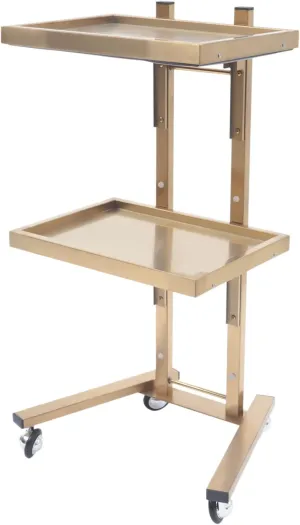 Gold Rolling Trolley Cart，Esthetician Cart with Wheels Utility Salon Rolling Trolley，Hair Beauty Spa Storage Tray Equipment Organizer，Tattoo Manicure Facial Tool Holder Station 2 Tier