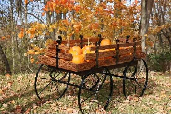 Hay Wagon Display