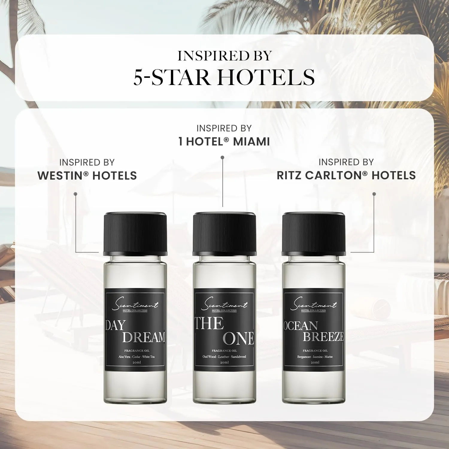 Hotel Diffuser Oil | Aromatherapy Fragrances Inspired by 5-Star Hotels | Luxurious Scents with Notes of Cardamom, Tuscan Leather, and Sandalwood (20ml, Top 3 Scents)