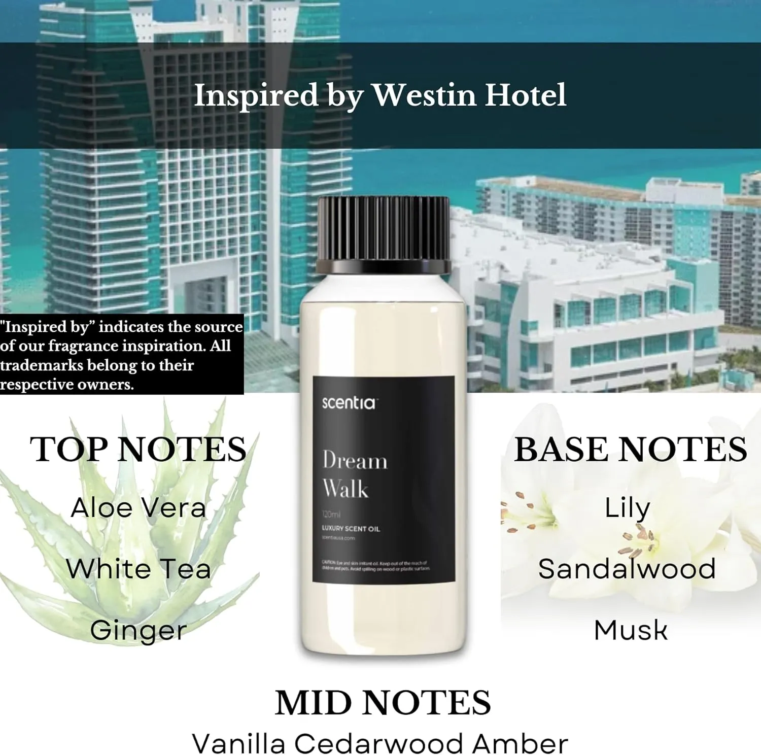Hotel Diffuser Oil Inspired by The Westin Hotel Scent - 50 ml 1.69 fl oz - Fragrance Oil Blend White Tea, Cedarwood & Amber Notes for Aromatherapy Diffusers and Humidifiers - Dream Walk