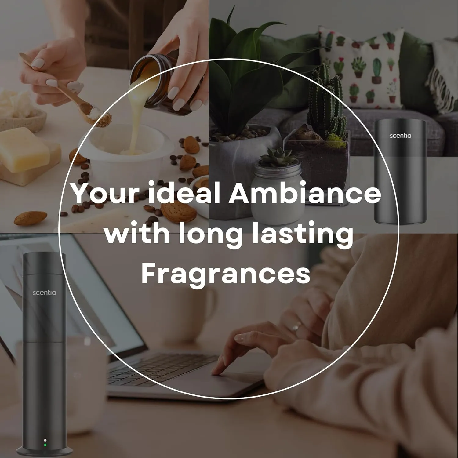 Hotel Diffuser Oil Inspired by The Westin Hotel Scent - 50 ml 1.69 fl oz - Fragrance Oil Blend White Tea, Cedarwood & Amber Notes for Aromatherapy Diffusers and Humidifiers - Dream Walk