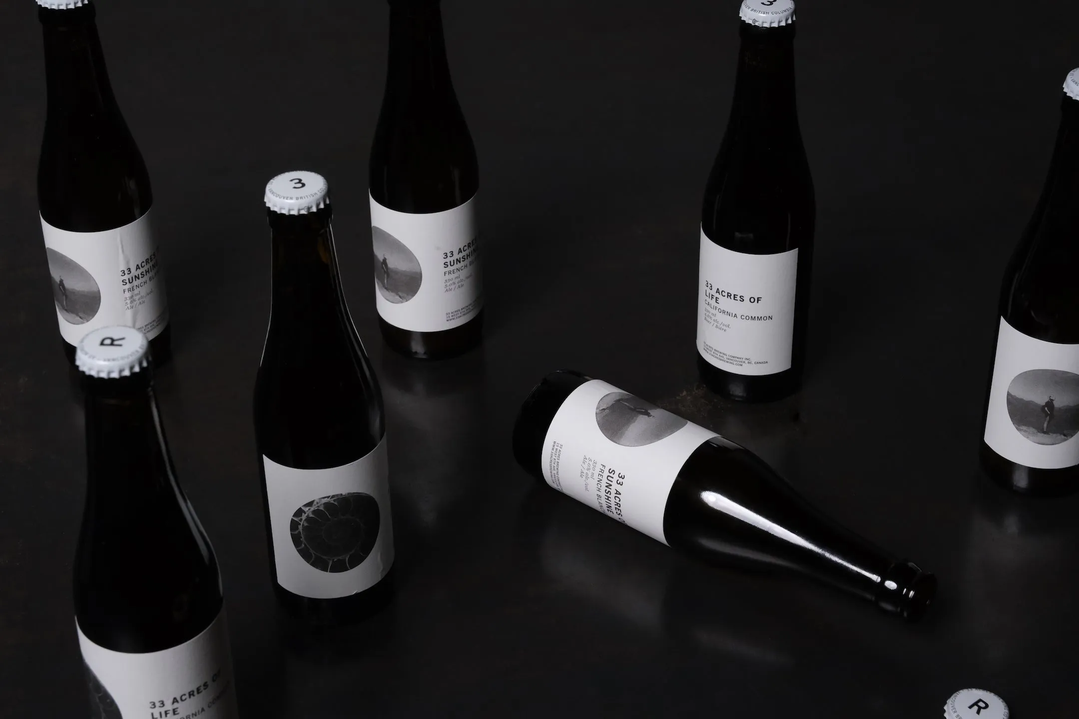 June 24 - Belt   Bottle Opener Workshop