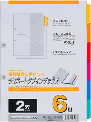 Maruman LT4206 Index A4, 2 Holes, Index Sheets, 6 Tiers, 1 Pair, 10 Sheets