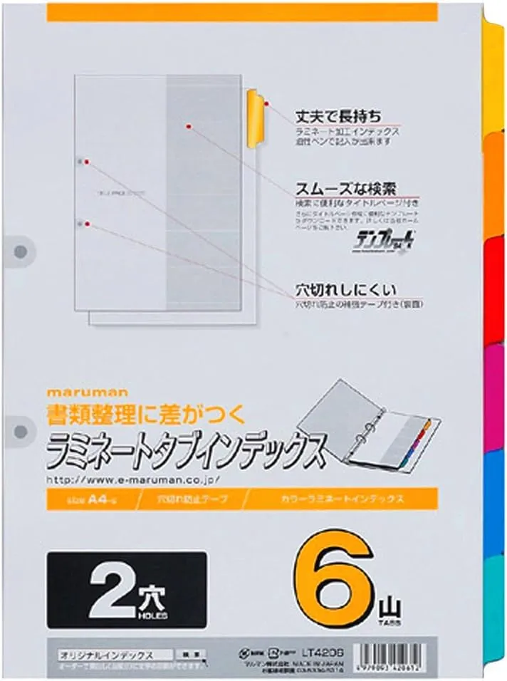 Maruman LT4206 Index A4, 2 Holes, Index Sheets, 6 Tiers, 1 Pair, 10 Sheets