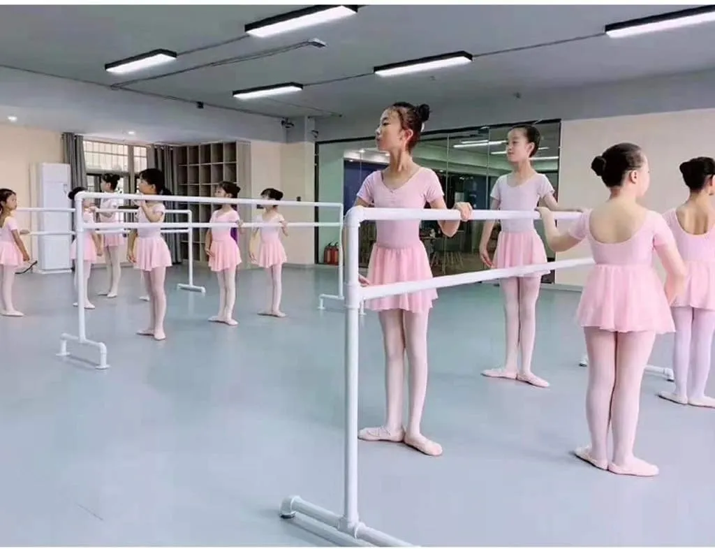 Mobile Ballet Bar Home Stretch Dance Bar Adult Home Or Studio Dancing with Triangular Reinforced Bracket,Double Layer-1.5M