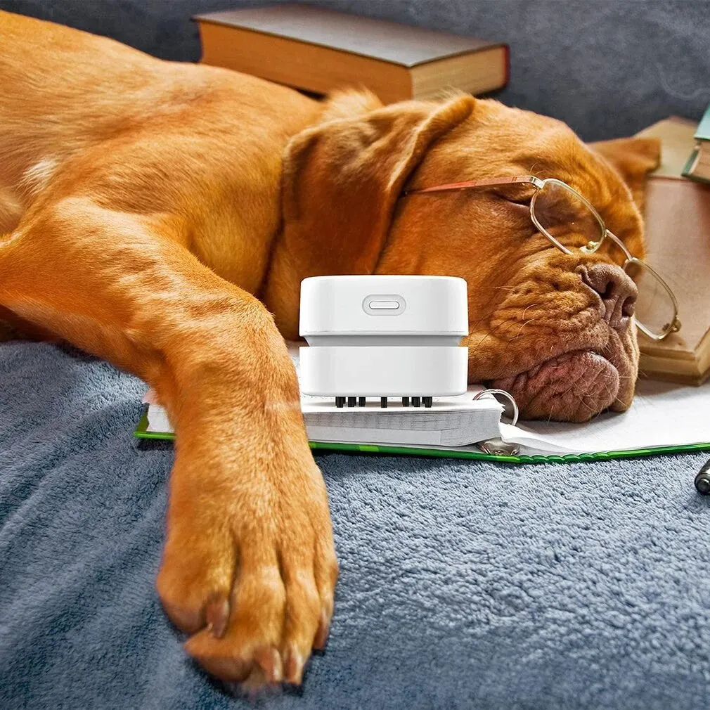 Portable Desk Vacuum