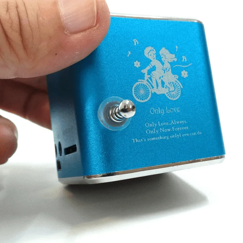 Portable Radio Speaker