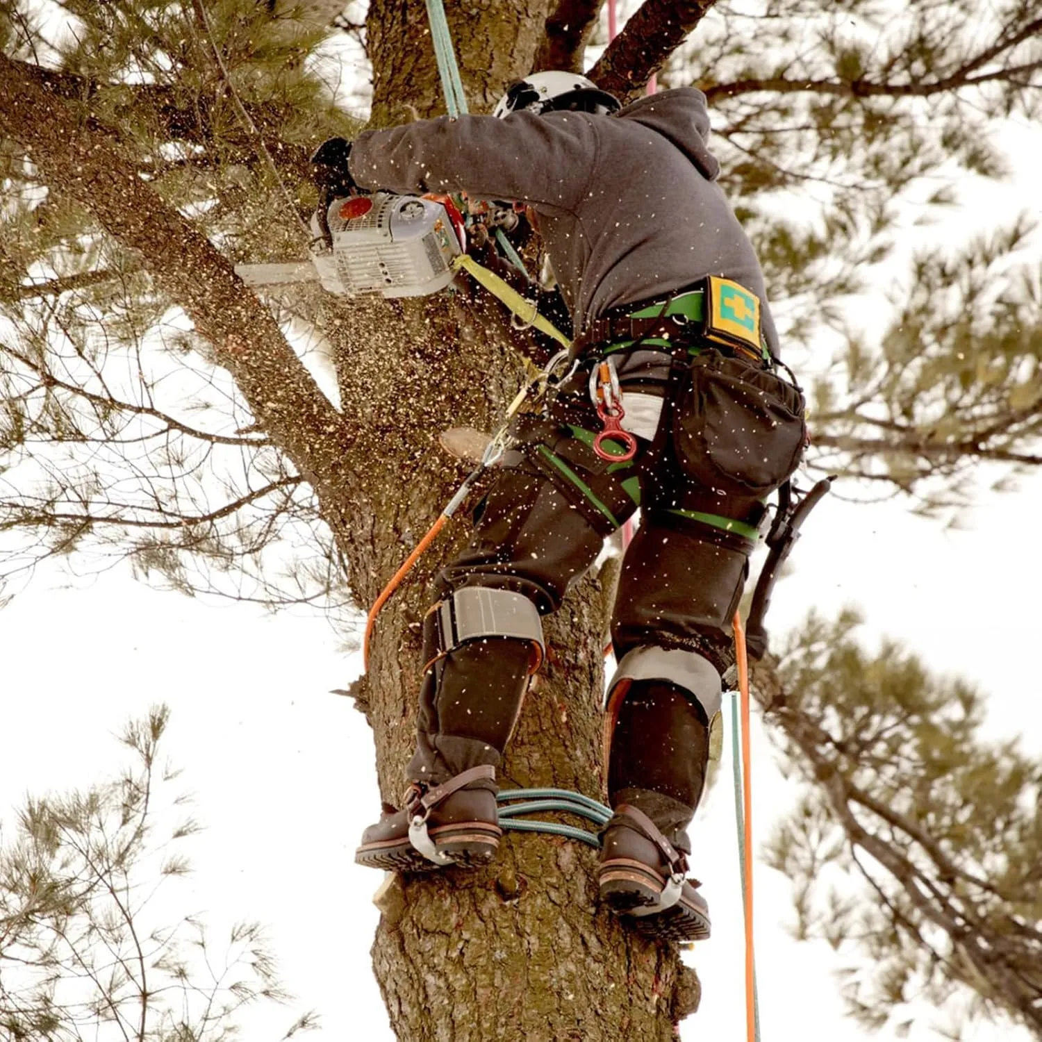 Tree Climbing Spikes,Tree Climbing Kit,Tree Climbing Gear,Suitable for Fruit Picking,Tree Climbing,Hunting