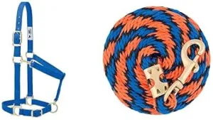Weaver Leather Padded, Adjustable Nylon Horse Halter with Brass Hardware and Matching Soft Grip Performance Lead Rope, Large Blue