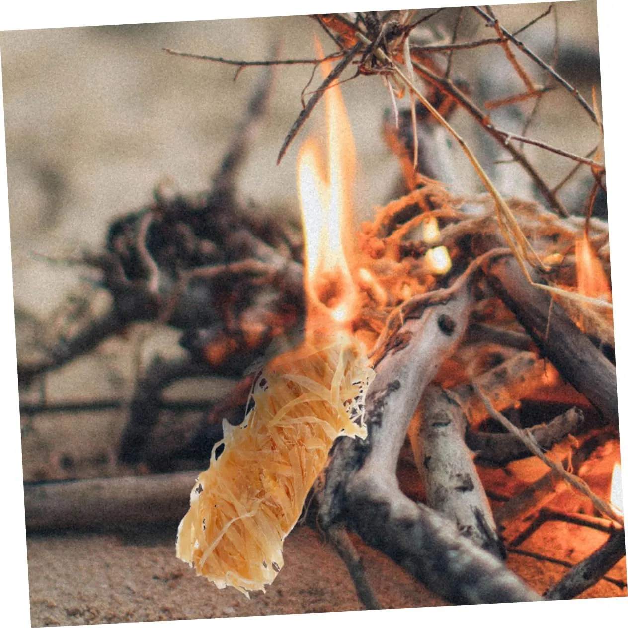 Yardwe 96pcs Natural Wooden Fire Lighters Efficient Fire for Camping Barbecues and Pits Compact Design for and Ignition for Outdoor Cooking and Picnics